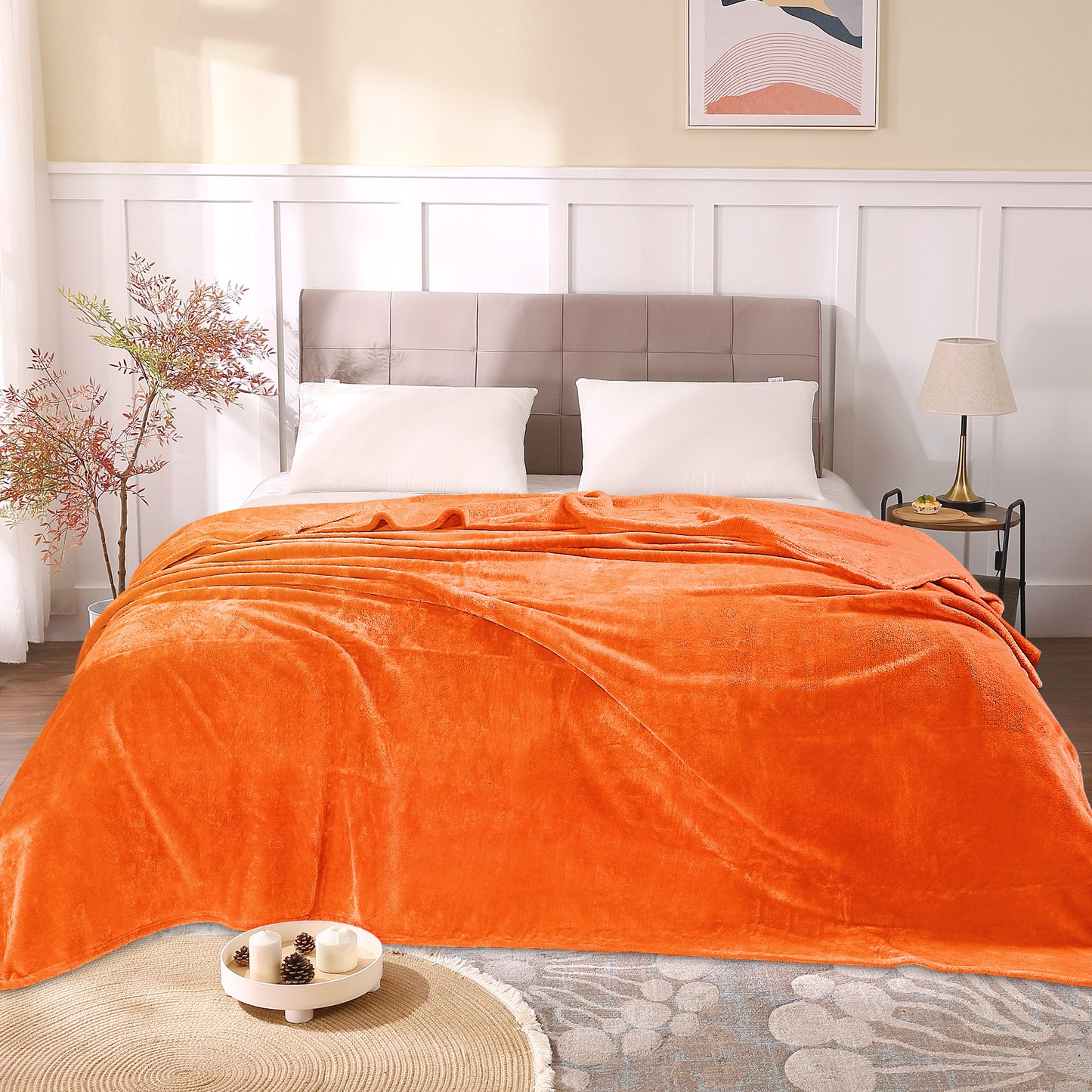 Fleece Blankets Queen Size Throw Blankets for Bed & Couch, Plush Cozy Fuzzy Blanket, Super Soft & Warm Blankets for Fall and Winter