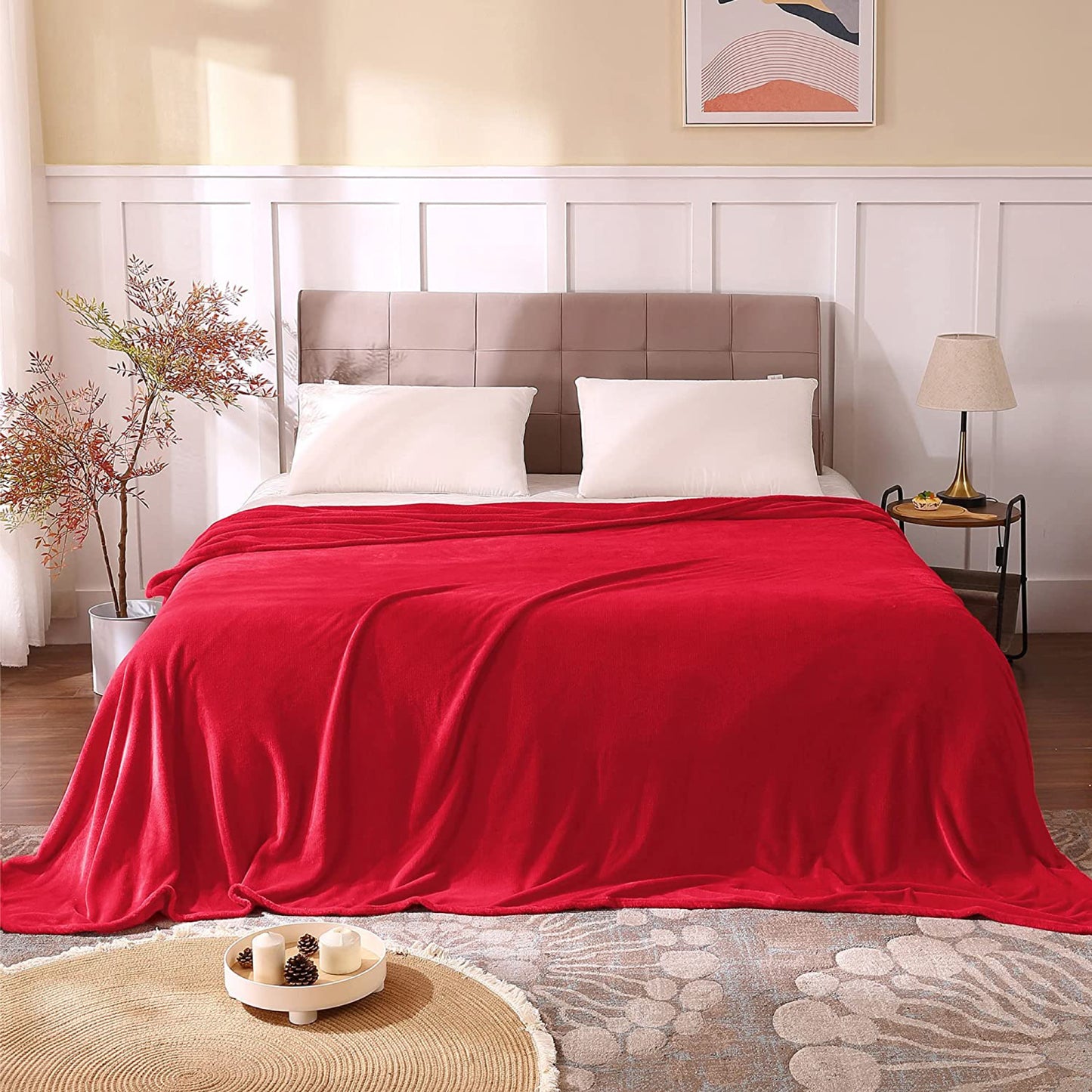 Fleece Blankets Queen Size Throw Blankets for Bed & Couch, Plush Cozy Fuzzy Blanket, Super Soft & Warm Blankets for Fall and Winter