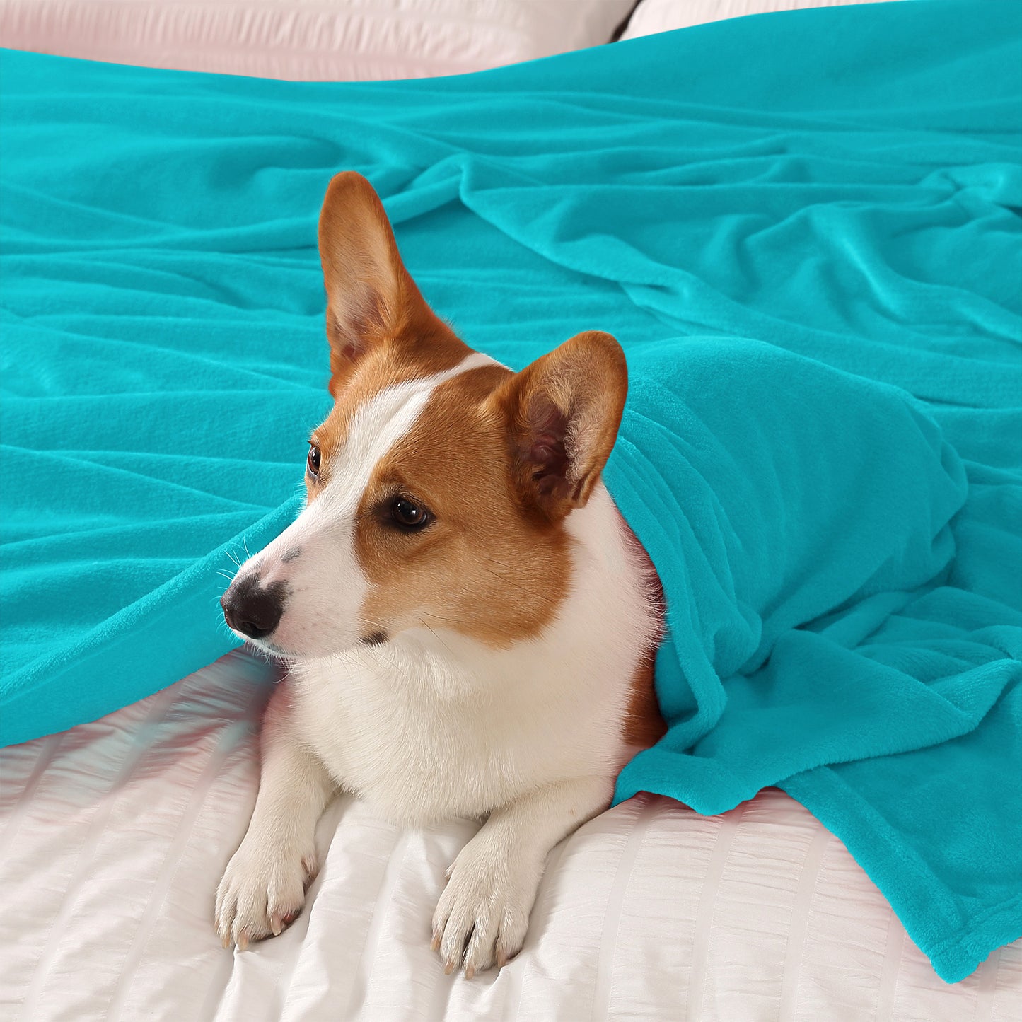 Fleece Blankets Queen Size Throw Blankets for Bed & Couch, Plush Cozy Fuzzy Blanket, Super Soft & Warm Blankets for Fall and Winter