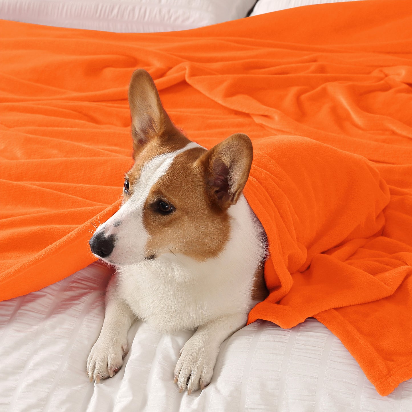 Fleece Blankets Queen Size Throw Blankets for Bed & Couch, Plush Cozy Fuzzy Blanket, Super Soft & Warm Blankets for Fall and Winter