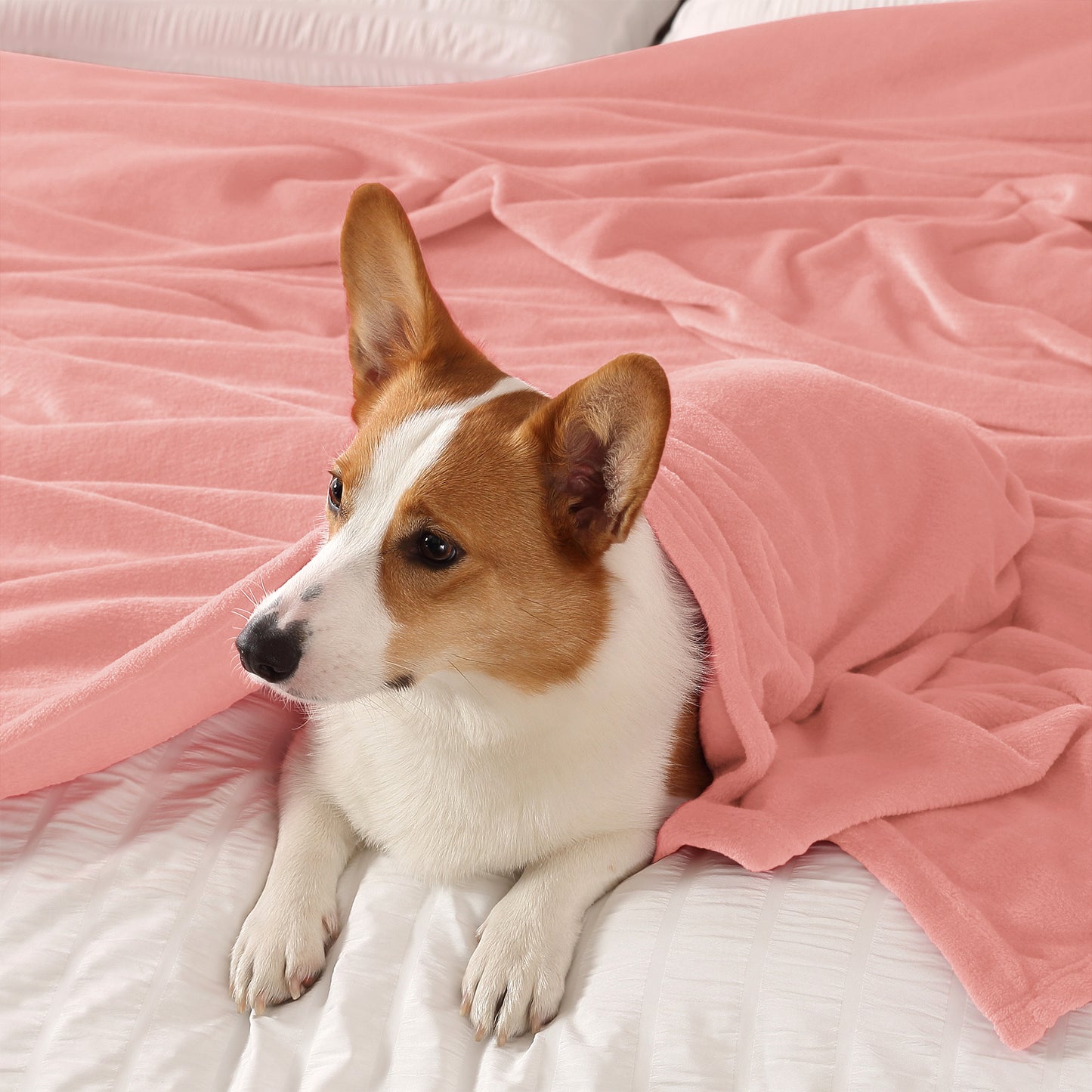 Fleece Blankets Queen Size Throw Blankets for Bed & Couch, Plush Cozy Fuzzy Blanket, Super Soft & Warm Blankets for Fall and Winter