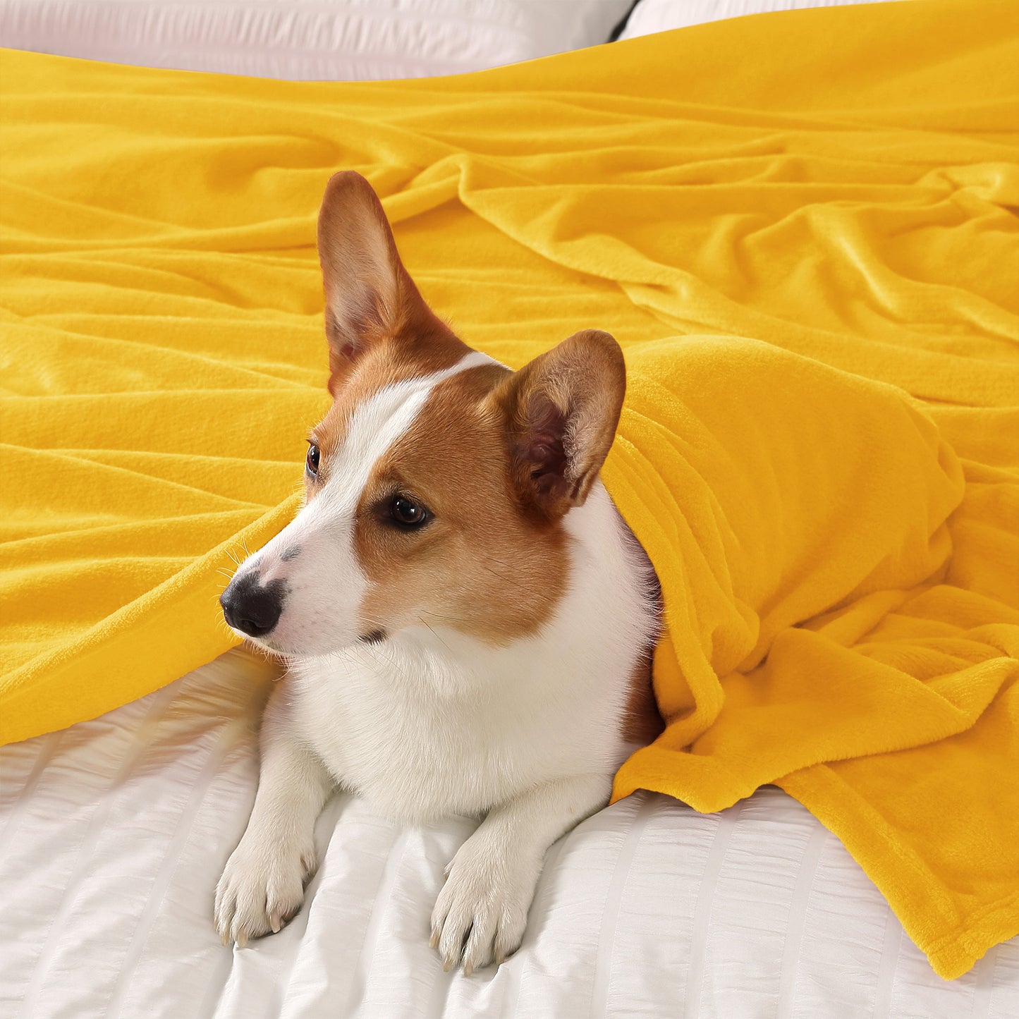 Fleece Blankets Queen Size Throw Blankets for Bed & Couch, Plush Cozy Fuzzy Blanket, Super Soft & Warm Blankets for Fall and Winter