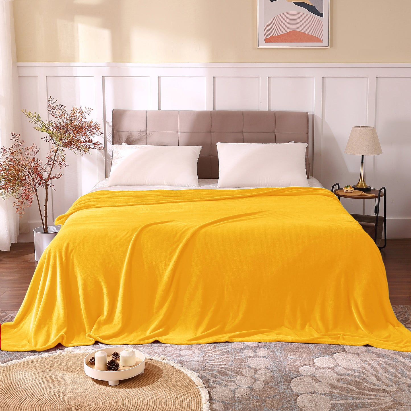 Fleece Blankets Queen Size Throw Blankets for Bed & Couch, Plush Cozy Fuzzy Blanket, Super Soft & Warm Blankets for Fall and Winter