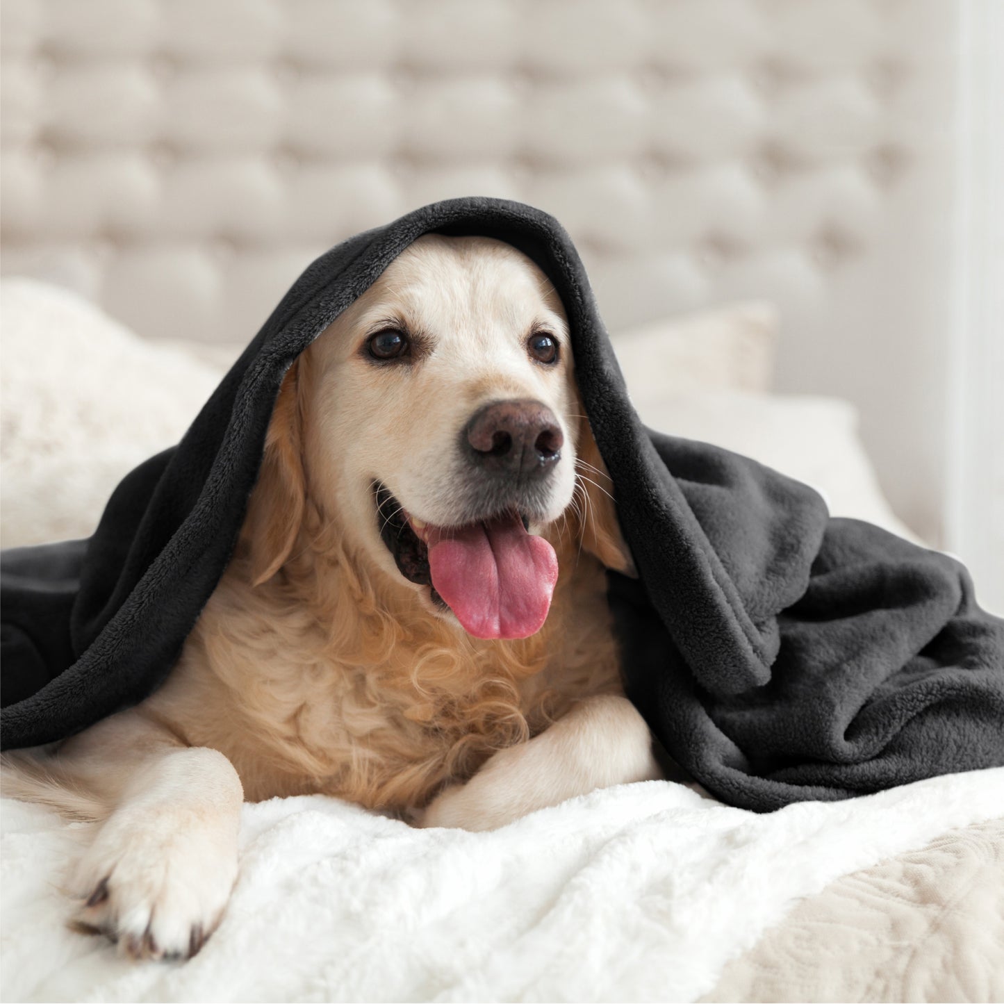 Fleece Blankets Queen Size Throw Blankets for Bed & Couch, Plush Cozy Fuzzy Blanket, Super Soft & Warm Blankets for Fall and Winter