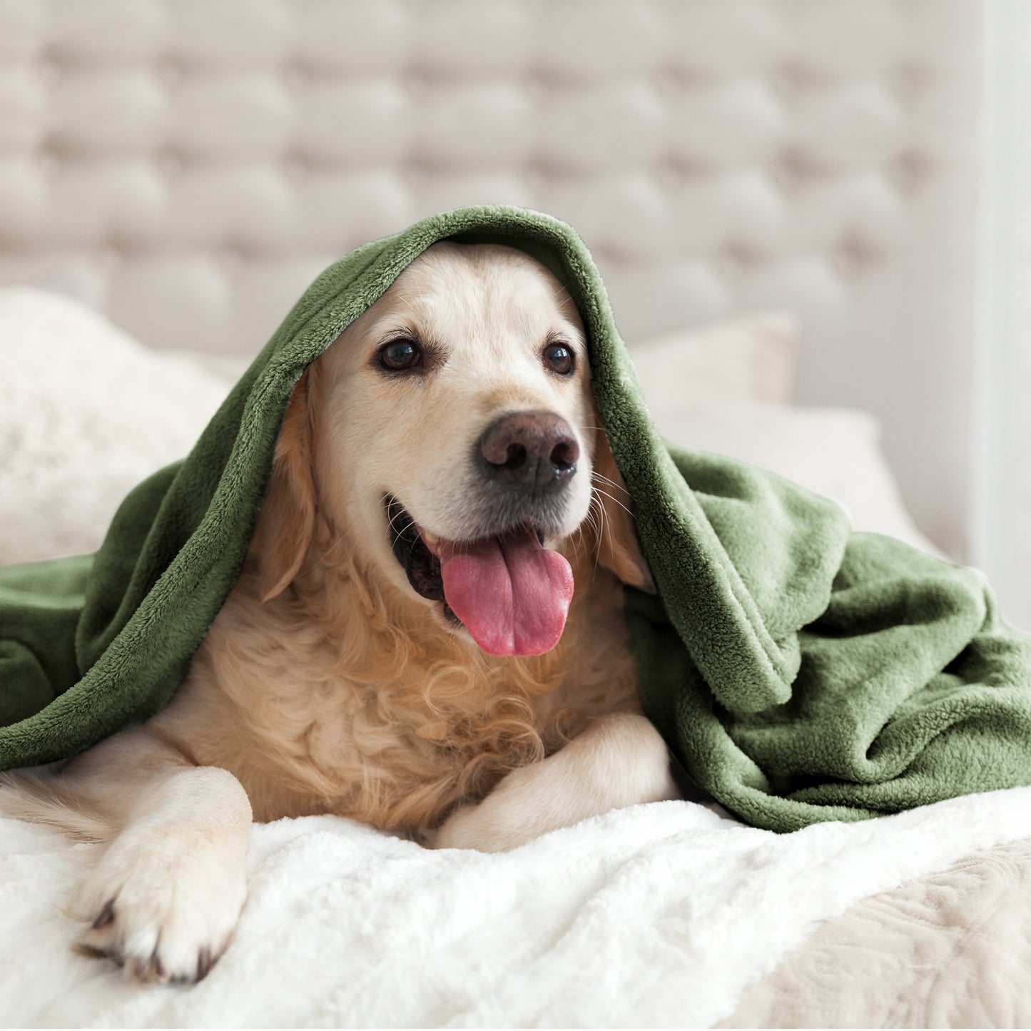 Fleece Blankets Queen Size Throw Blankets for Bed & Couch, Plush Cozy Fuzzy Blanket, Super Soft & Warm Blankets for Fall and Winter
