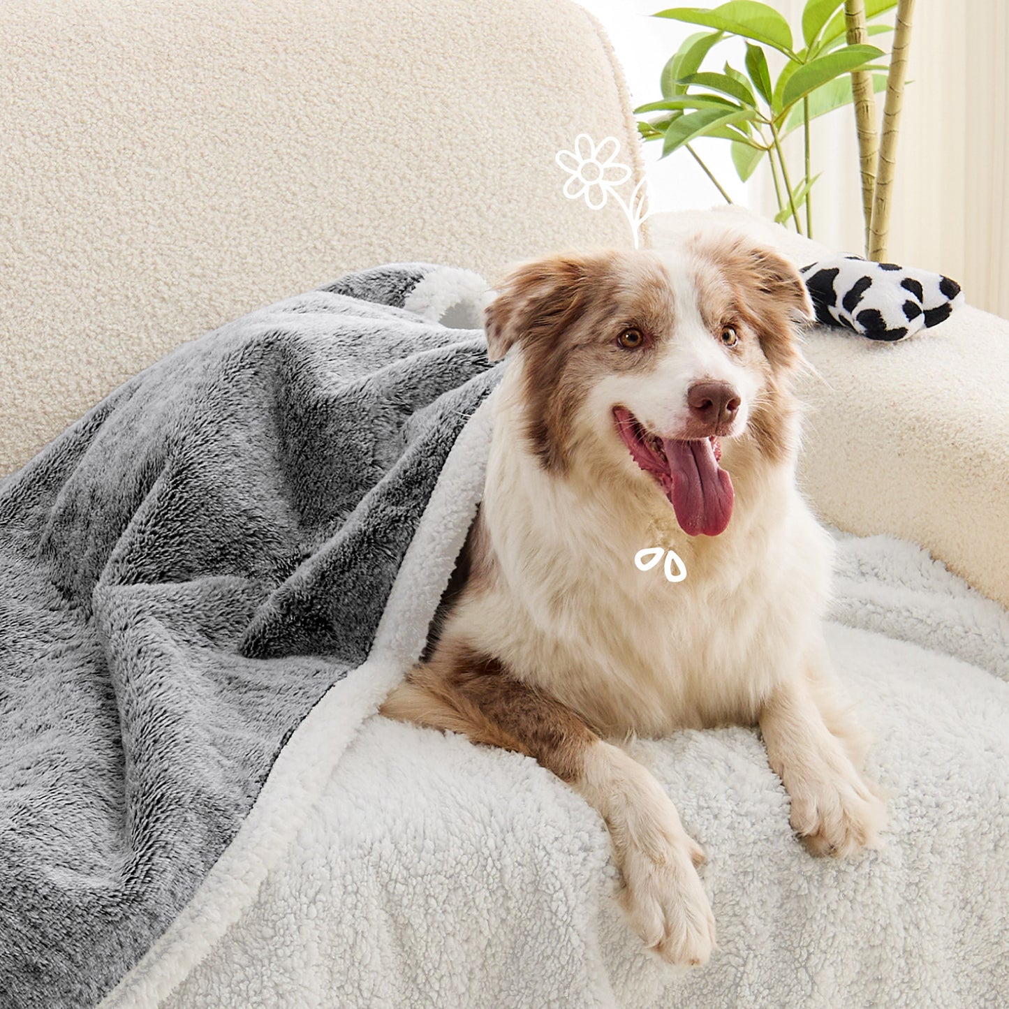 ChiXnuggle Waterproof Dog Blanket, Reversible Faux Fur & Sherpa Puppy Throw for Couch, Bed & Crate Protection, Soft Cozy Dog Blanket for Small Medium Large Dogs