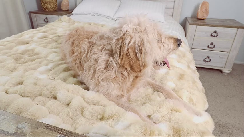 BEDELITE Bubble Faux Fur Throw Blanket