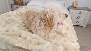 BEDELITE Bubble Faux Fur Throw Blanket