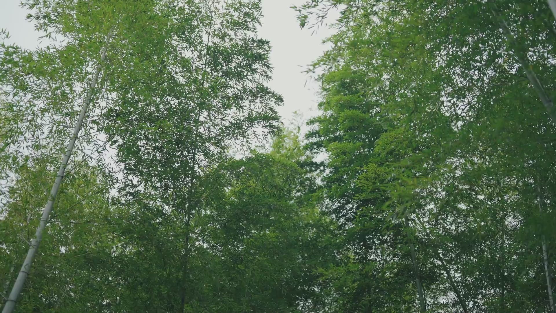 Breathable Bamboo Waffle Blanket.mp4